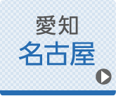 名古屋ひざ関節症クリニック公式ホームページへ