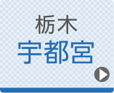 宇都宮ひざ関節症クリニック公式ホームページへ